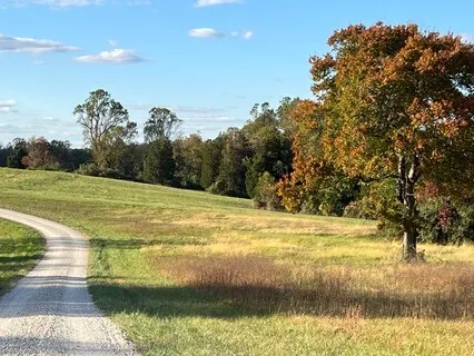 Sacral Chakra Affirmations With Music