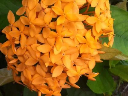 Sacral Chakra Affirmations