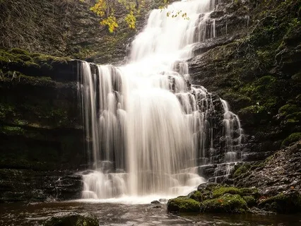 Sacral Chakra: Awaken Sensuality & Creativity: Yoga Nidra