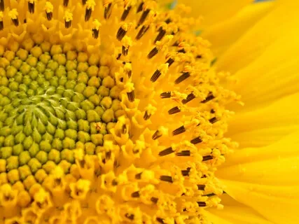 Sacral Chakra - Be Water, My Friend