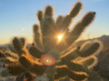 Sacral Chakra Body Scan Meditation