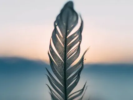 Sacral Chakra Activation: Cleanse, Balance, Heal