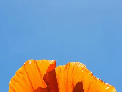 Sacral Chakra Cleansing Meditation