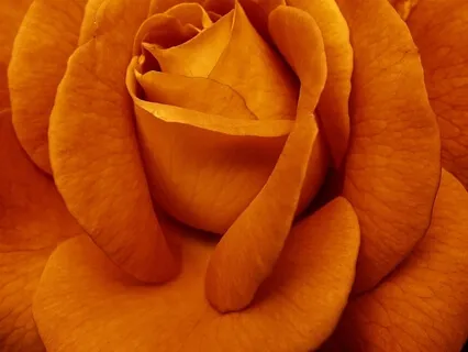 Sacral Chakra Clearing For You & Your Business