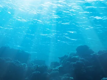 Sacral Chakra (Emotions, Flow And Creativity) Meditation