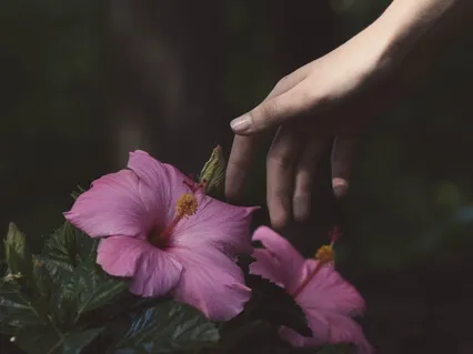 Sacral Chakra Healing - 432 Hz - Sensuality