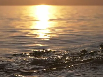 Sacral Chakra Healing For A Body That Stopped Wanting