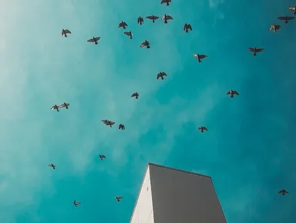 Sacral Chakra Healing Meditation