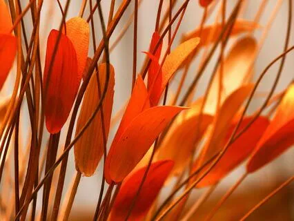 Sacral Chakra - Healing Piano Music