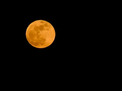 Sacral Chakra Healing With Yoga Nidra