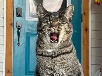 Sacral Chakra Instrumental For Creativity And Stress Relief