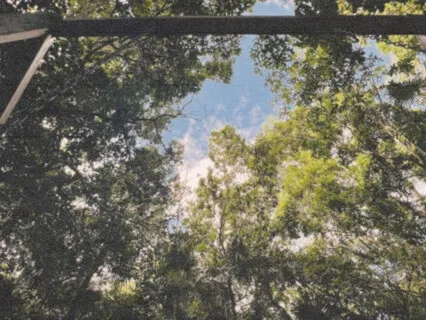 Sacral Chakra Light Language Transmission