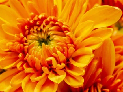 Sacral Chakra Meditation