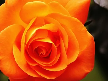 Sacral Chakra Meditation: Find More Flow & Connection