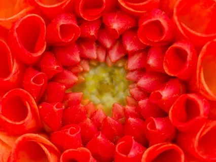 Sacral Chakra Meditation - With Solfeggio Frequencies