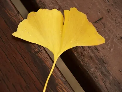Sacral Chakra Meditation