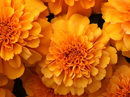 Sacral Chakra Meditation