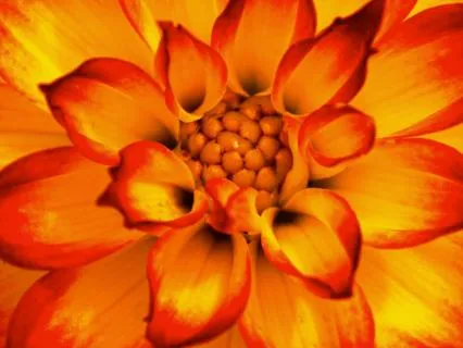 Sacral Chakra Sacral Chakra For Women