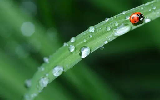 Sacral Chakra Singing Bowl Sound Bath