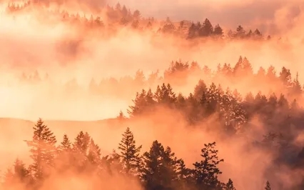 Sacral Chakra Sleep Affirmation Meditation