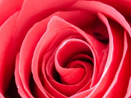 Sacral Chakra Sound Healing