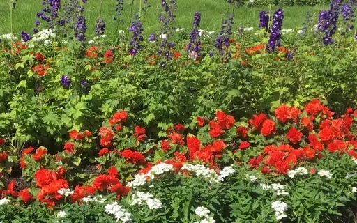 Sacral Chakra Source