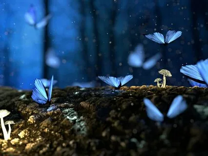 Sacred Abundance: Manifest Prosperity