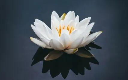 Sacred Bath Meditation For Energetic Release