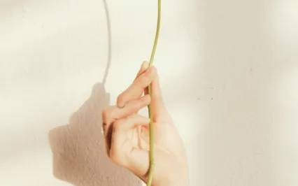 Sacred Beauty Meditation