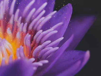 Bhakti Bhakti Bhakti