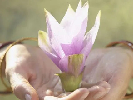 Sacred Chants For Inner Peace And Restful Sleep