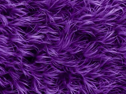 Sacred Connection | Crown Chakra Talk For Your Pet