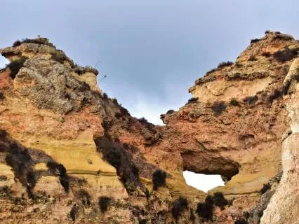 Sacred Diversity And The Path To Unity