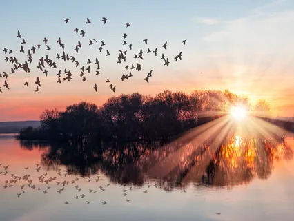Sacred Drum For The Shamanic Journey