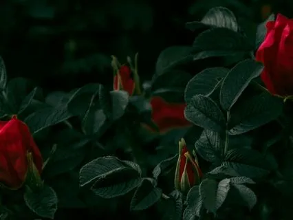 Sacred Energy Recalibration