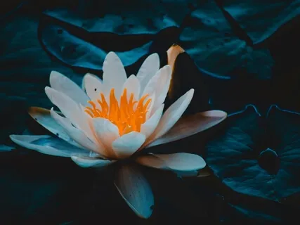 Sacred Experience Of Healing & Mercy With Kuan Yin