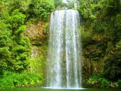 Sacred Forest – Part 3 (10 Days For Focus)