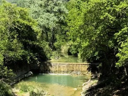 Sacred Forest Walk-Assisi