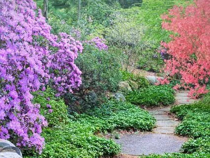 Sacred Garden Meditation, Energetically Encoded