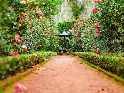 Sacred Garden Meditation
