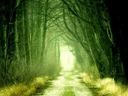 Sacred Garden (Shamanic Drums)