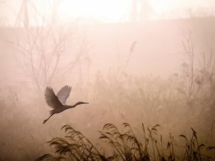 Sacred Grove Gathering