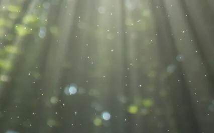 Sacred Healing - Reiki Music With Bell Every 3 Minutes