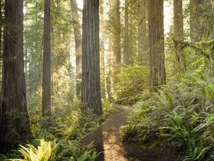 Sacred Heart Beat - 432hz 