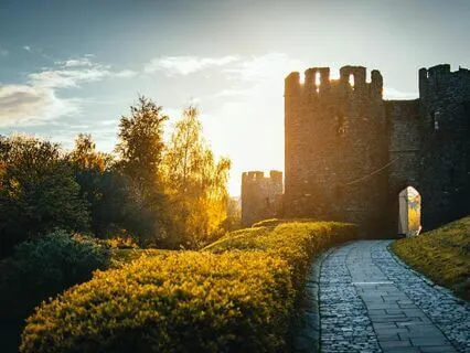 Sacred Heart ( Song )