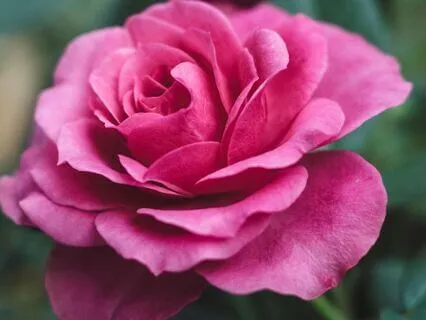 Sacred Heart Space: A Meditation For Deep Healing & Love