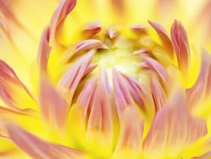 Sacred Heartspace | Dearmour And Open Your Heart To Love