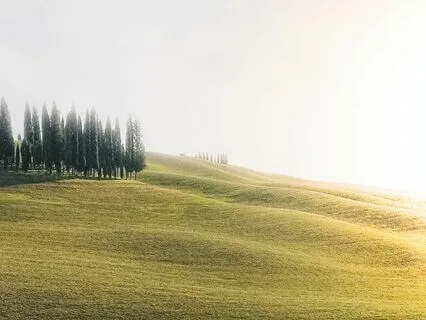 Sacred Lineage - Shadows In Musical Reverie