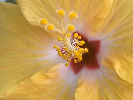 Sacred Love Guided Meditation: Self-Love