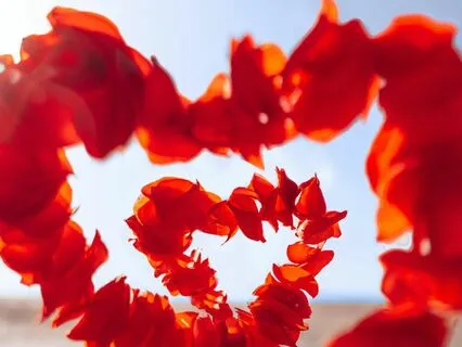 Sacred Love: Shamanic Heart Healing